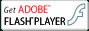 Get Flash playe