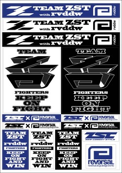ZST �� reversal ����ܡ����ƥå���