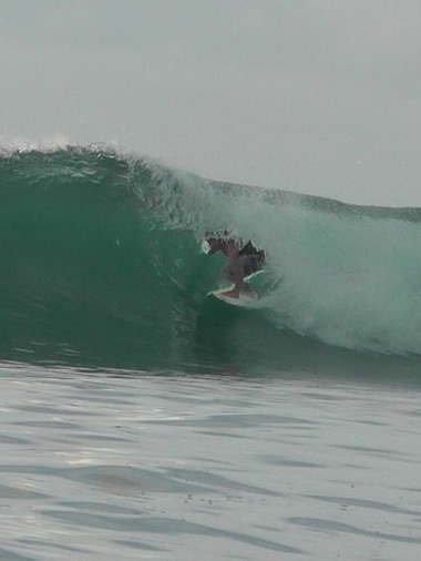 reversal.dogi.design.works